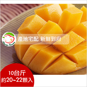 【Mango House蘋果檨 】 吉園圃 愛文芒果禮盒 10台斤(約20-22顆入)