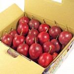 【鮮果日誌】埔里原生種百香果 2公斤禮盒裝