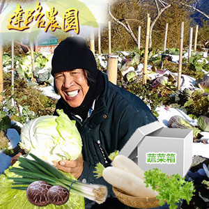 達路農園-超青蔬菜箱Ａ（福山萵苣(大陸妹)/ 鹿角萵苣/白蘿蔔/青蒜/炭焙椴木香菇(小朵)100g）