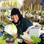 達路農園-超青蔬菜箱B（福山萵苣(大陸妹)/ 鹿角萵苣/白蘿蔔/青蔥/炭焙椴木香菇(小朵)100g）