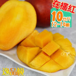 【外銷日本等級】43年老欉愛文芒果禮盒10台斤(12-14顆)
