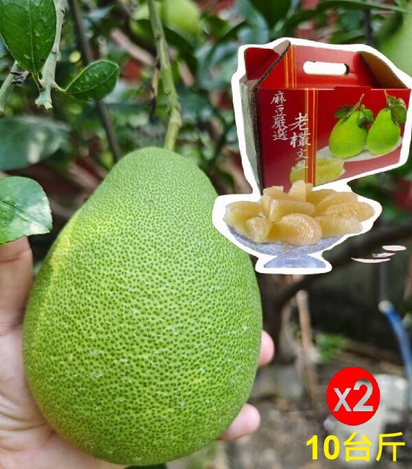 【正宗台南麻豆】50年老欉文旦禮盒10台斤X2