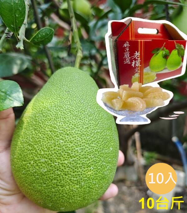 【正宗台南麻豆】50年老欉文旦禮盒10台斤X10