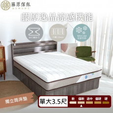 【藤原傢俬】藤原逸品涼感機能布料獨立筒床墊3.5尺單人加大(買就送床包含枕套)