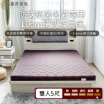 【藤原傢俬】雙人5尺冬夏兩用護背防螨抗菌10cm彈簧床墊-硬
