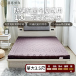 【藤原傢俬】單人加大3.5尺冬夏兩用護背防螨抗菌10cm彈簧床墊-硬