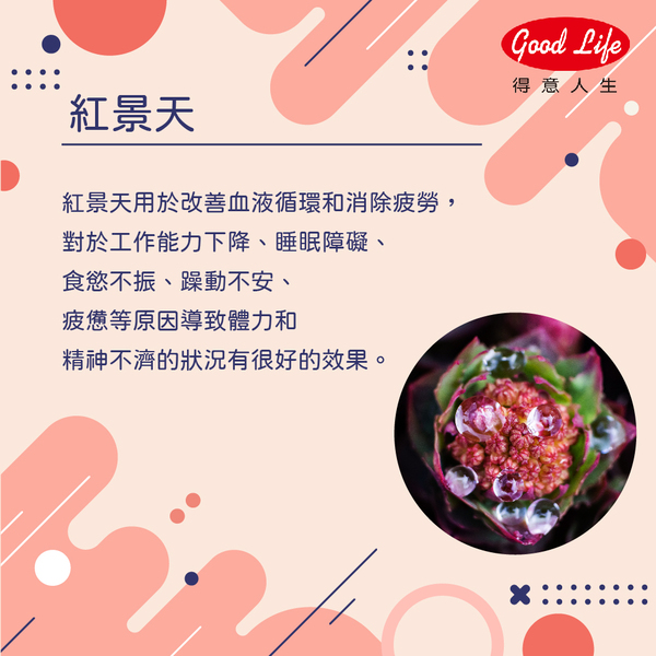 商品簡介